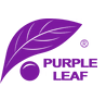 Purple Leaf